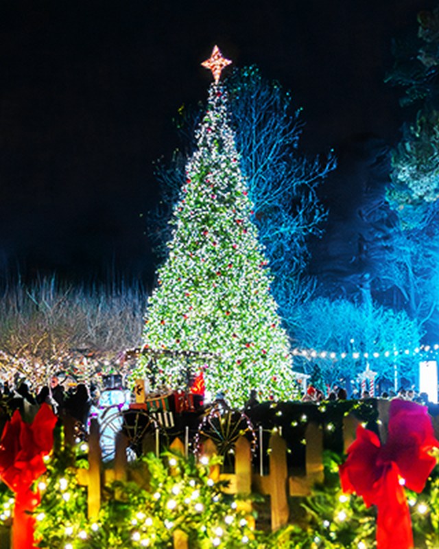 Image for CBN & Regent University Christmas Village 2026