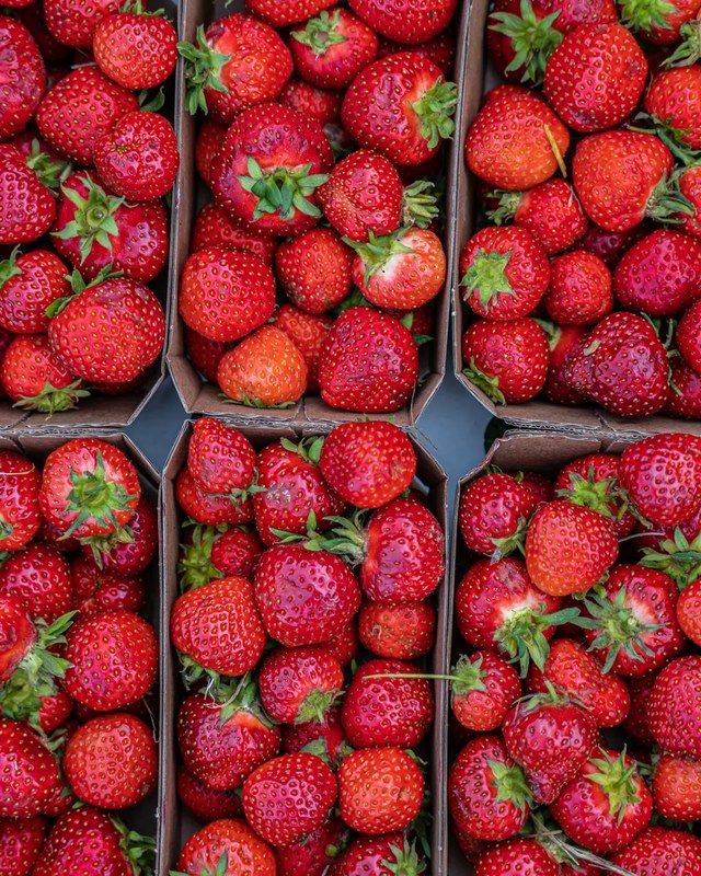 Image for 'Goodbye Summer, Hello Fall' Vendor Market