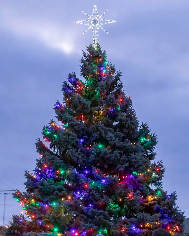 Large lit Christmas tree with a snowflake-style star topper against a dusk sky, photographed for the Kenosha tree lighting.