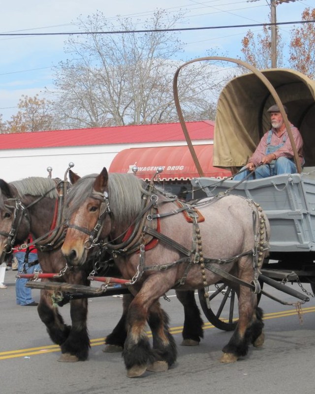 Image for Wagener's Hometown Holiday