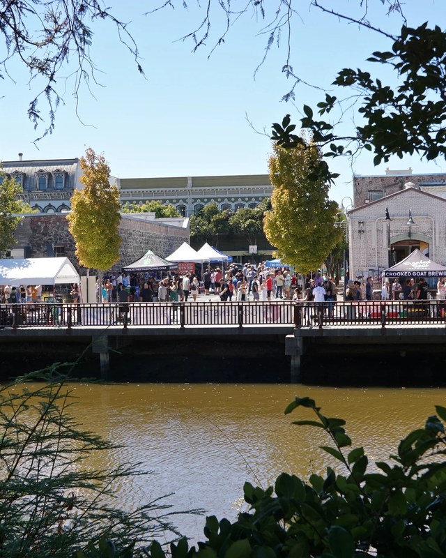 Image for Petaluma River Craft Beer Festival