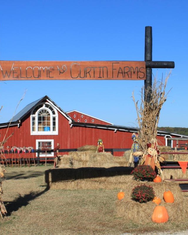 Image for Curtin Farms Fest