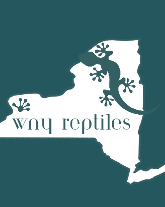 Image for WNY Fall Show 2026