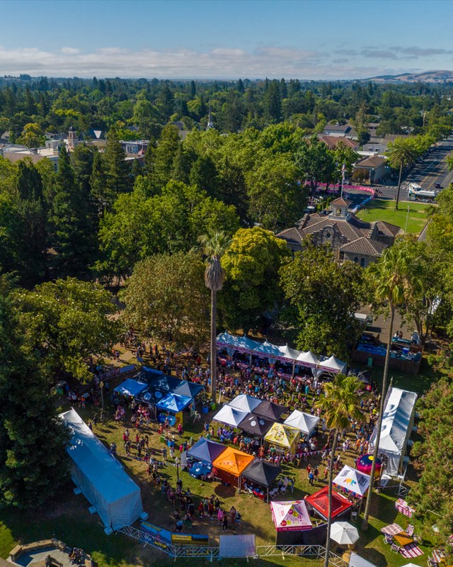 Image for 2026 Napa to Sonoma Half Marathon & Rosé 5K Race Expo