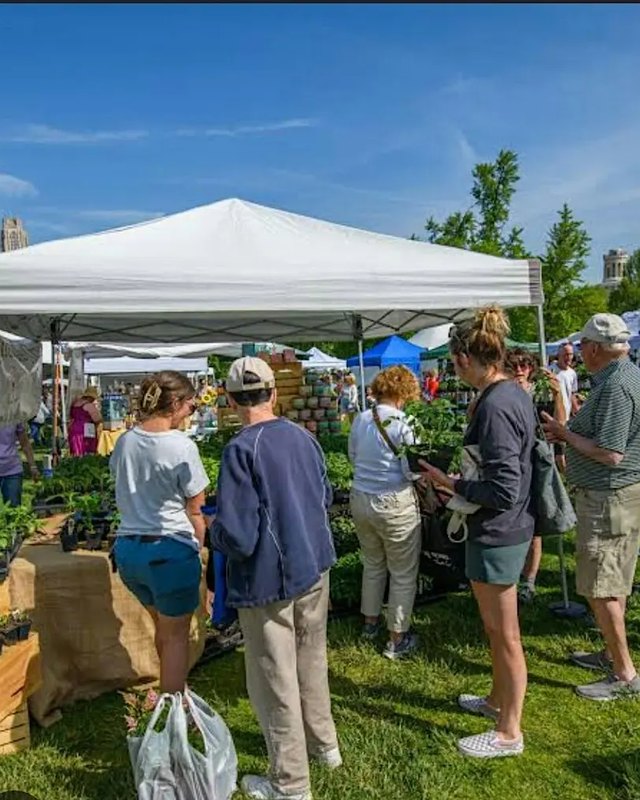 Shoppers browsing plant and produce tables under white tents at an outdoor market on a sunny day.