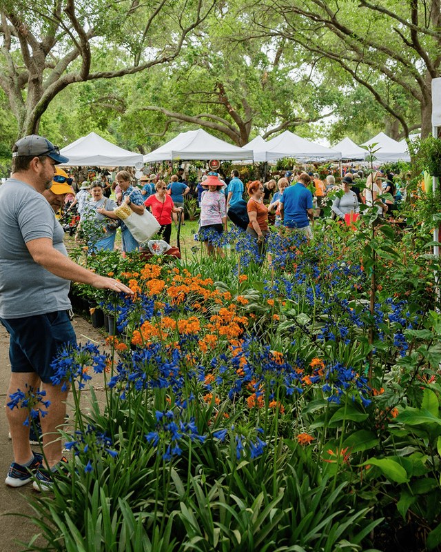 Image for Green Thumb Festival
