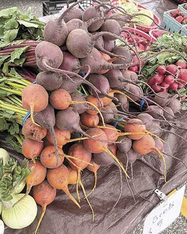 Image for Circle Pines-Lexington Lions Club Farmers Market