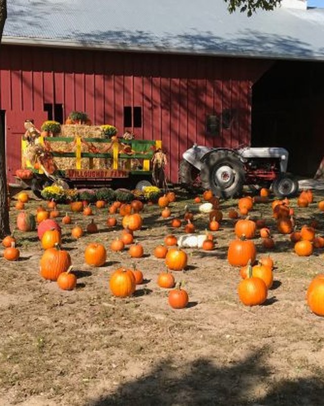 Image for Willoughby Farm Fall Farm Day