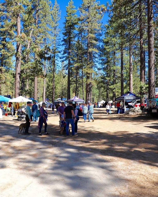 Image for Pine Cone Festival