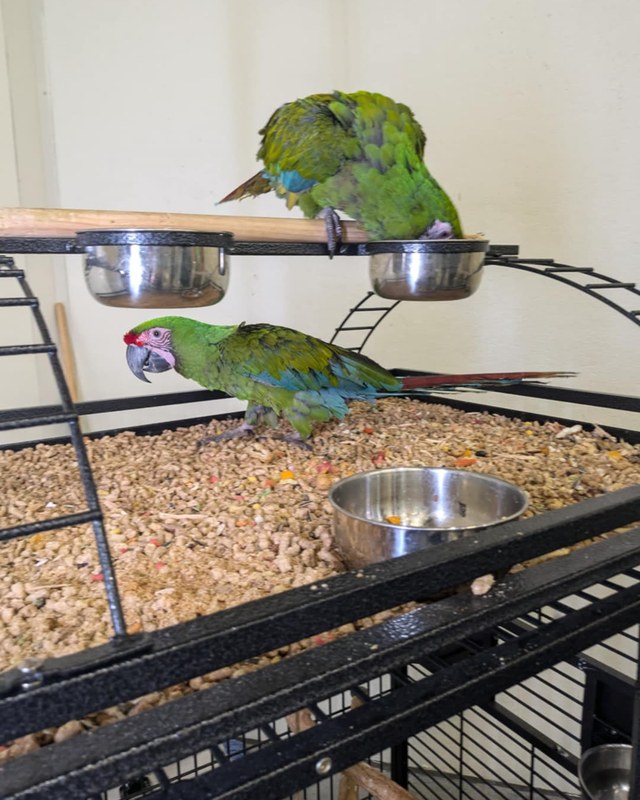 Image for CF Exotic Pet Expo – Dothan