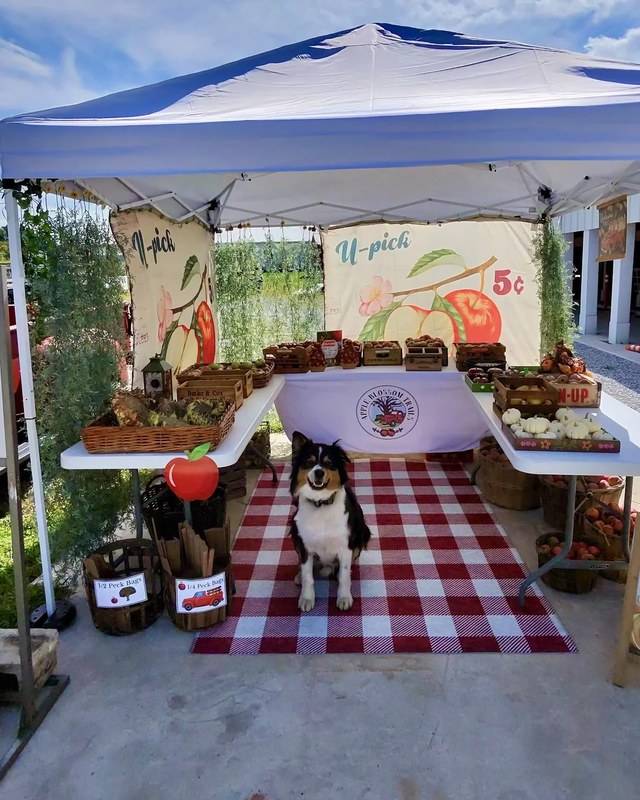 Image for Craft & Farmers Market