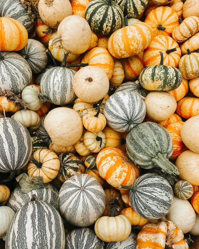 Image for It's Fall Y'all 6th Annual Barn Event
