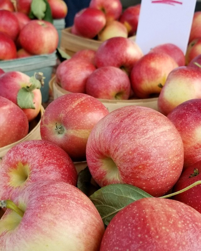 Image for Canton Farmers' Market