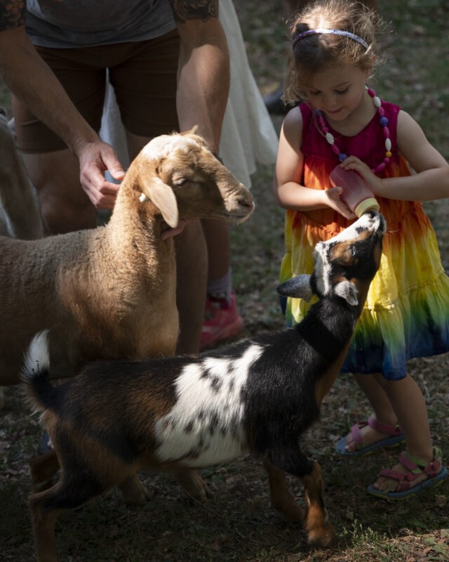 Image for Pittsburgh County Fair