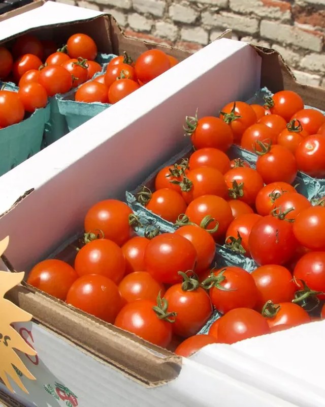 Image for West North Avenue Farmer's Market