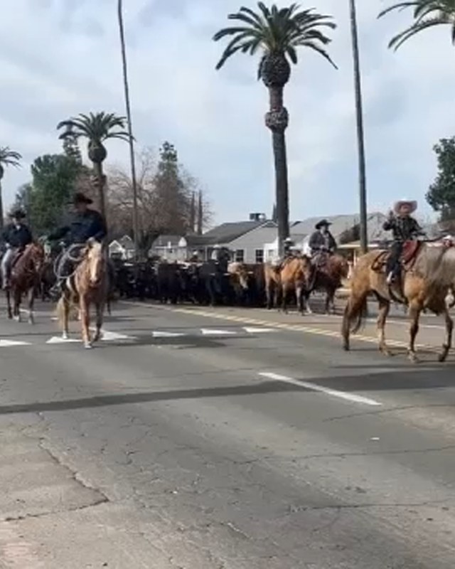 Image for Chowchilla Western Stampede