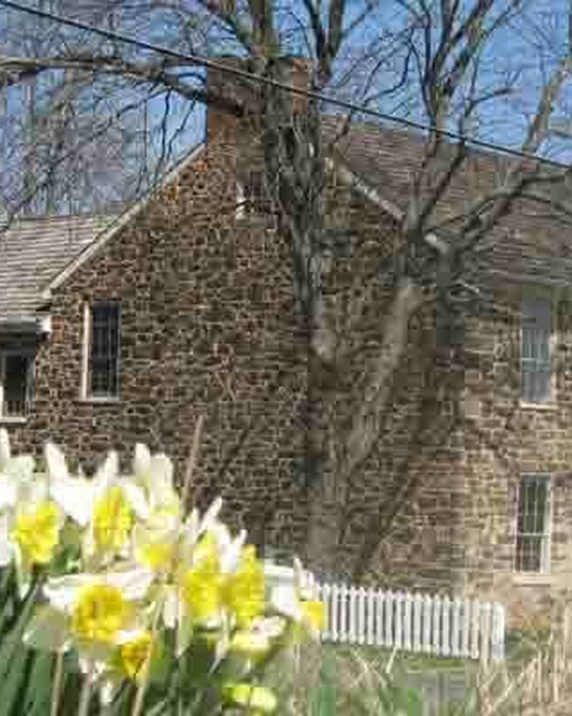 Image for Let Freedom Ring: A Revolutionary War and American Timeline Living History Event
