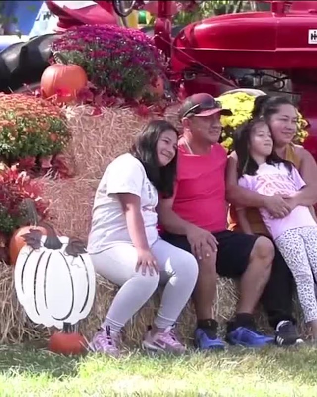 Image for Apple Festival