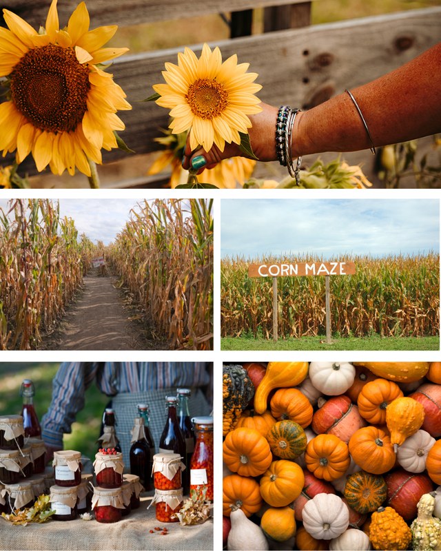 Image for Pumpkin Festival + Handmade Market
