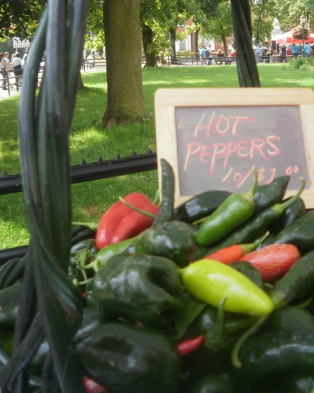 Image for Farmers' Market on the Lawn