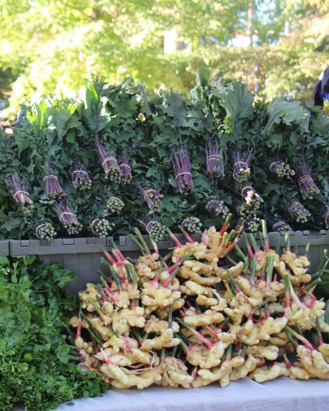 Produce on gray bins at the Douglass Loop Farmers Market: ginger root, celery, parsley and purple-topped greens.