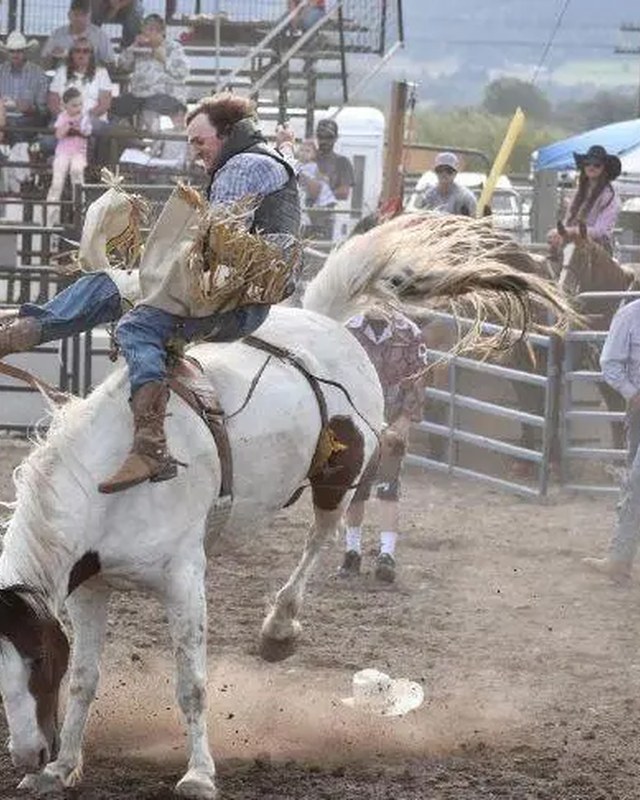 Image for Haines Stampede - July 3rd & 4th Celebration