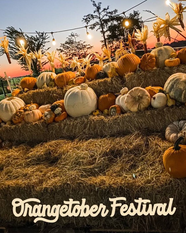 Image for 6th Annual Orangetober Festival