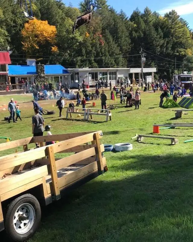 Image for Lost Valley Fall Fest