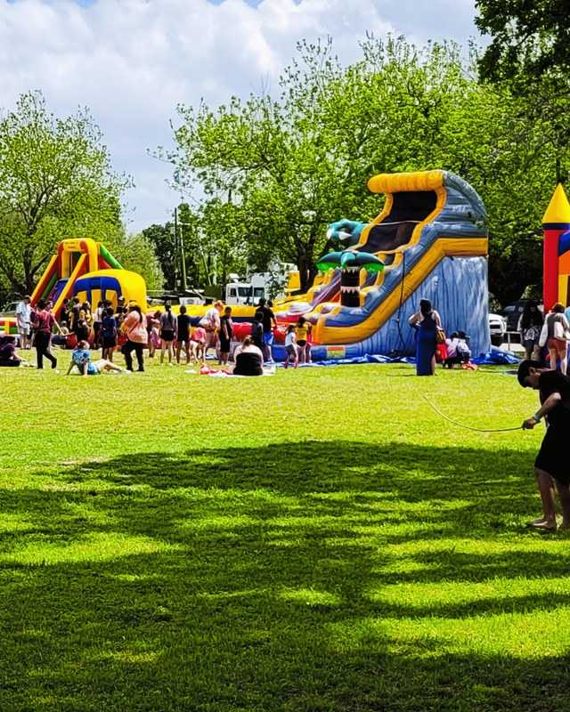 Image for Springfest