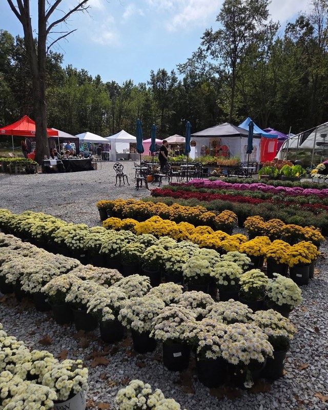 Image for 2nd Annual Fall Vendors Event