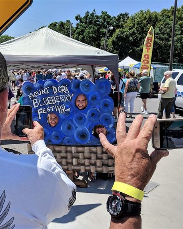 Image for Mount Dora Blueberry Festival