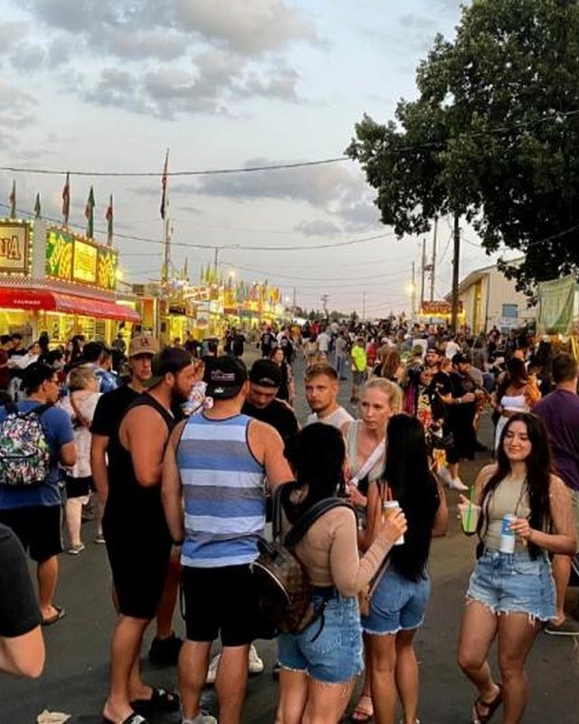 Image for Anoka County Fair