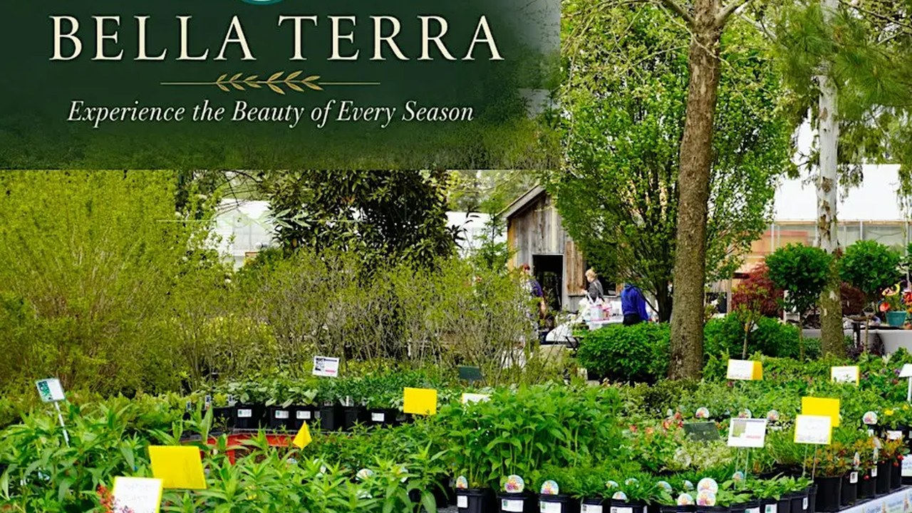 Image for Bella Terra Fall Festival & Biggest Sale of the Year