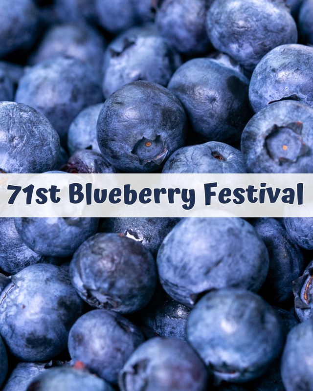 Image for 71st Anniversary Blueberry Festival
