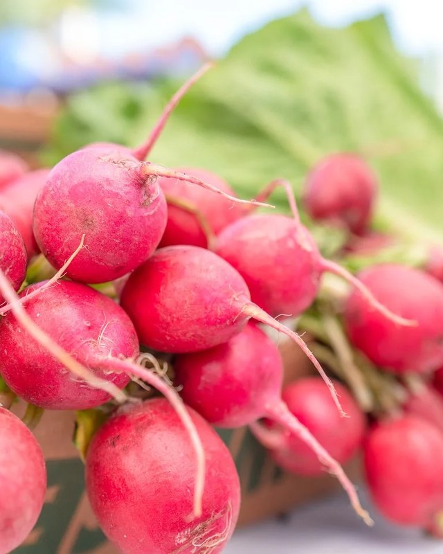Image for Venice Florida Farmers Market
