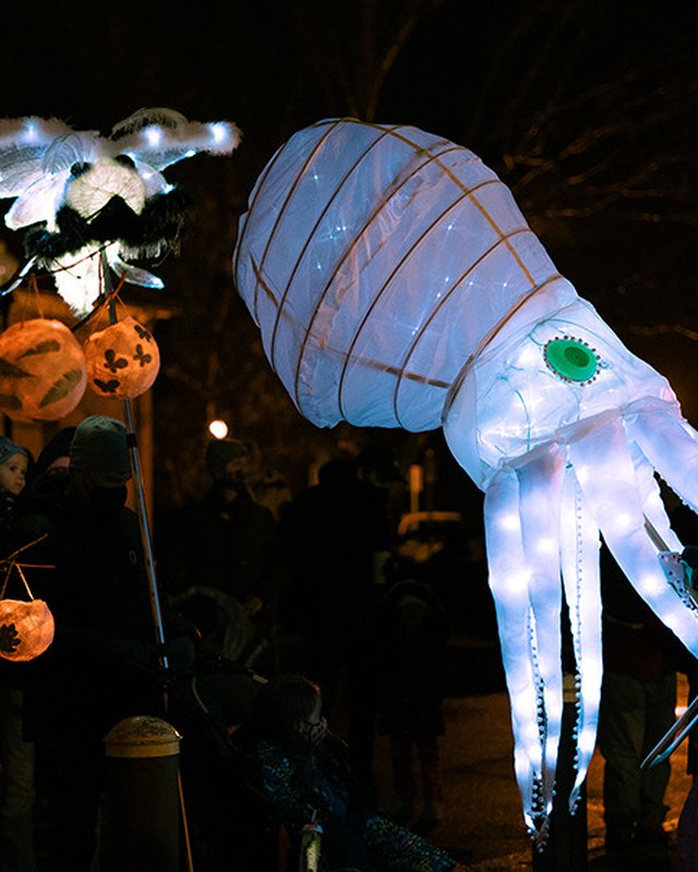 Image for Solstice Lantern Walk & Market