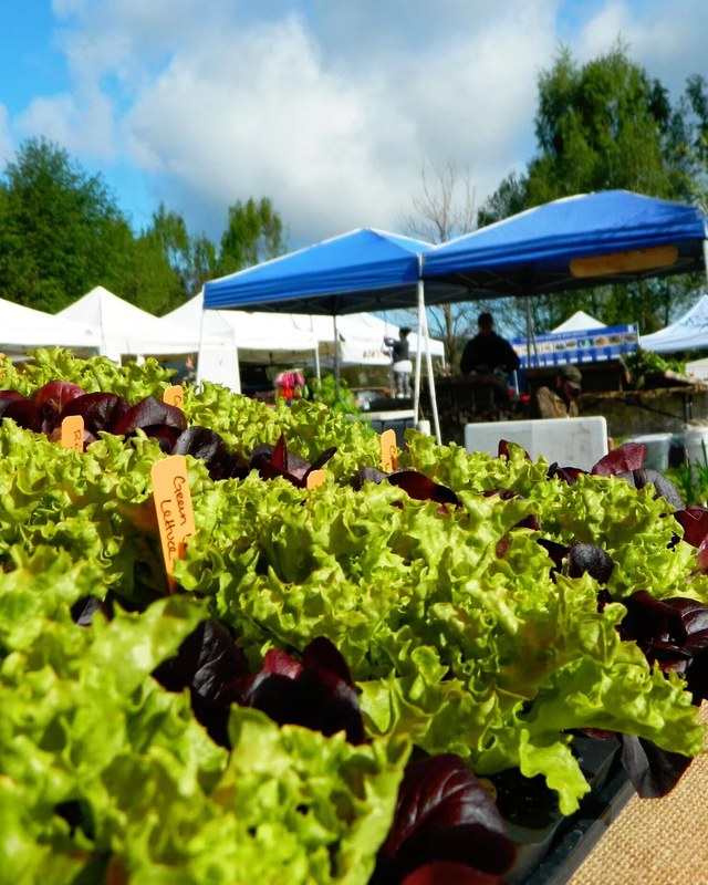 Image for Bayview Farmers Market
