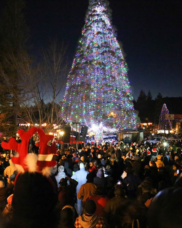 Image for Tree Lighting Ceremony