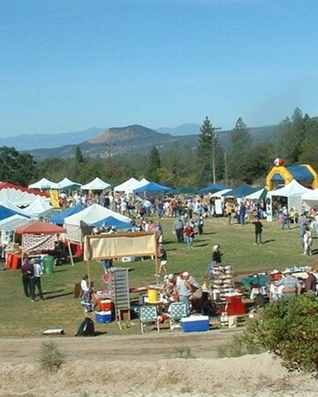 Image for Manton Apple Festival
