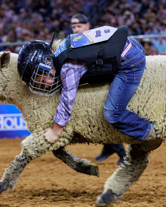 Child riding a sheep at a mutton bustin' event inside a packed rodeo arena.