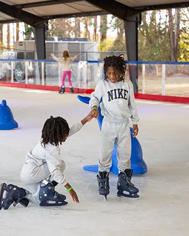 Image for Merry Market at Carrollton on Ice 2026