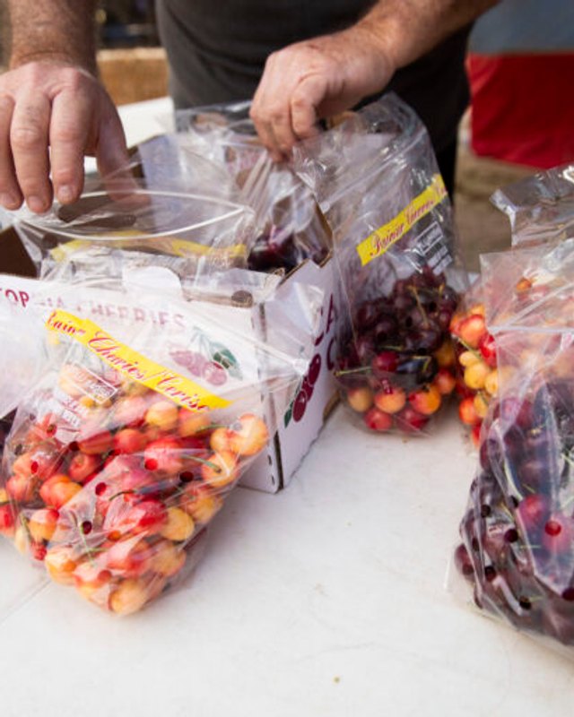 Hands bagging fresh cherries into plastic bags on a white table, with cherry bags and a cardboard box nearby.