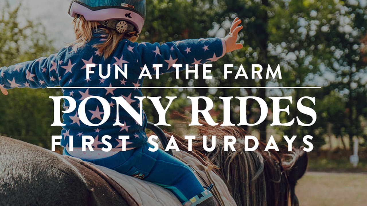 Image for Fall Festival at the Farm