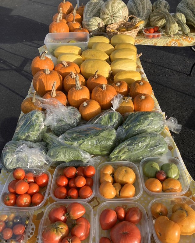 Image for Anderson County Farmers Market Holiday Market