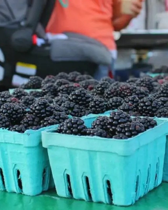 Image for Brunswick Main Street Farmers Market