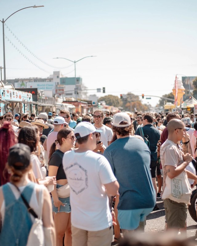 Image for The Venice Fest, Summer Edition