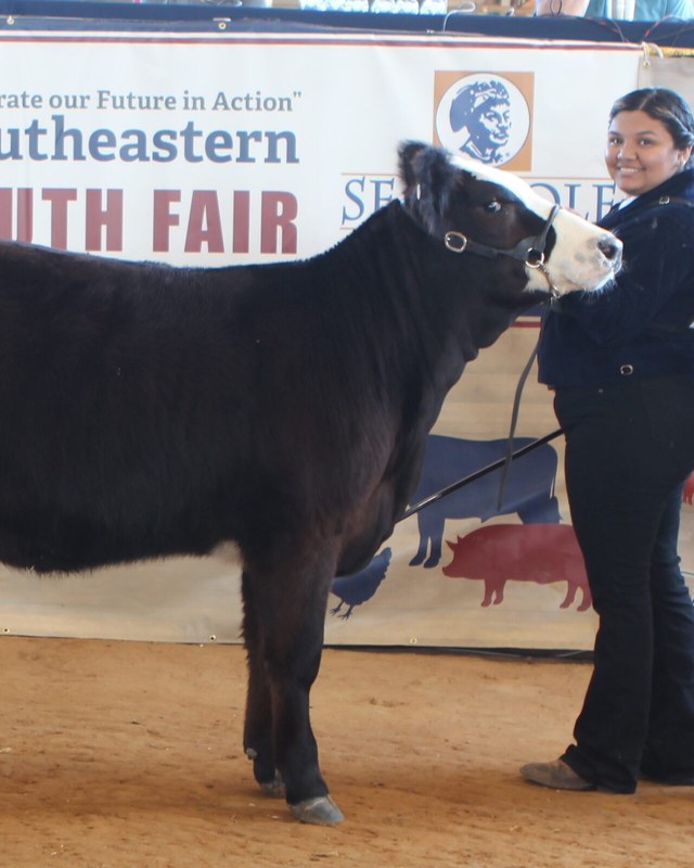 Image for Southeastern Youth Fair