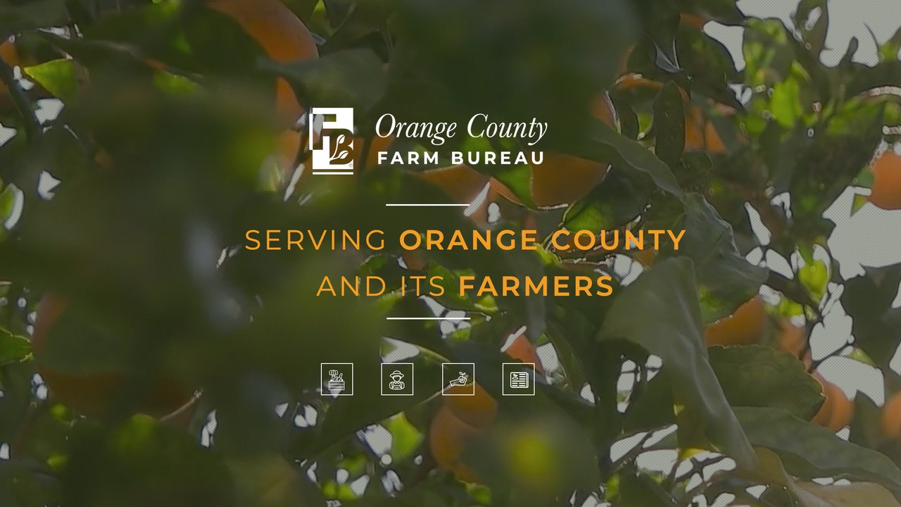 Image for Laguna Niguel Certified Farmers' Market
