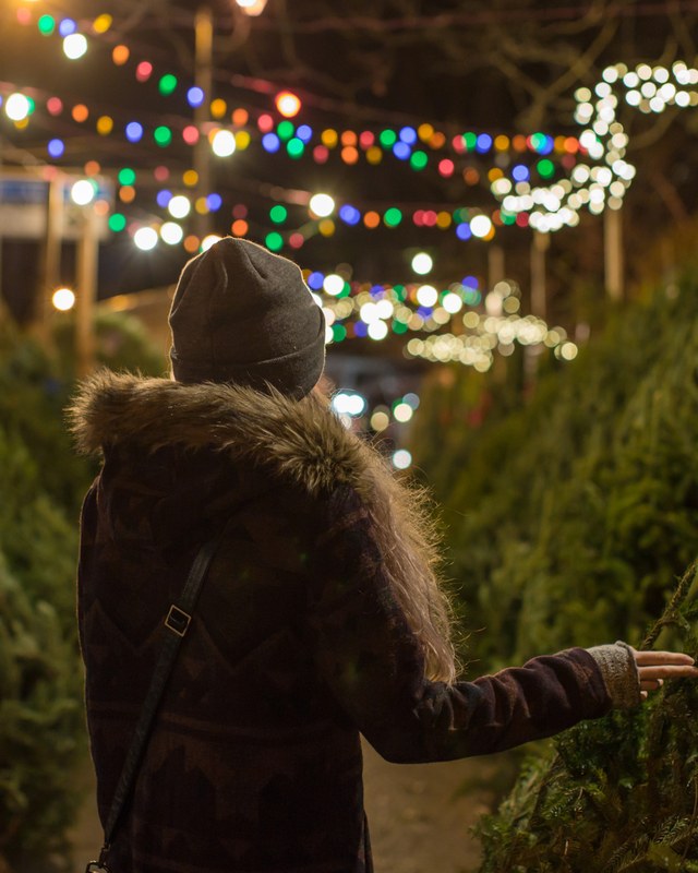 Image for New Hampshire World Christmas Market