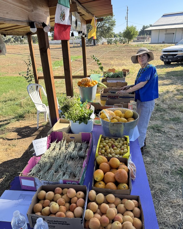 Image for Gilbert Orchards